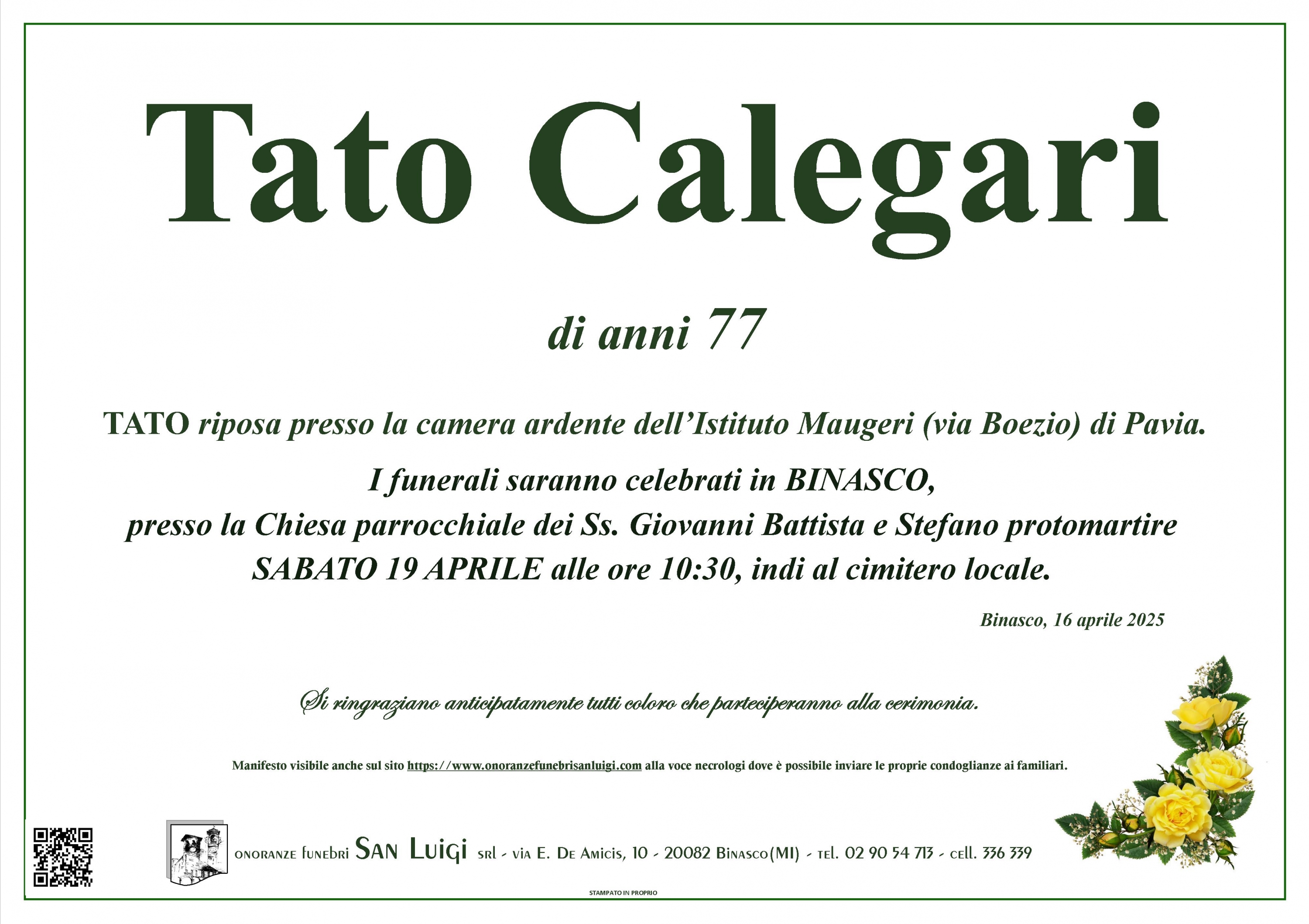 TATO CALEGARI